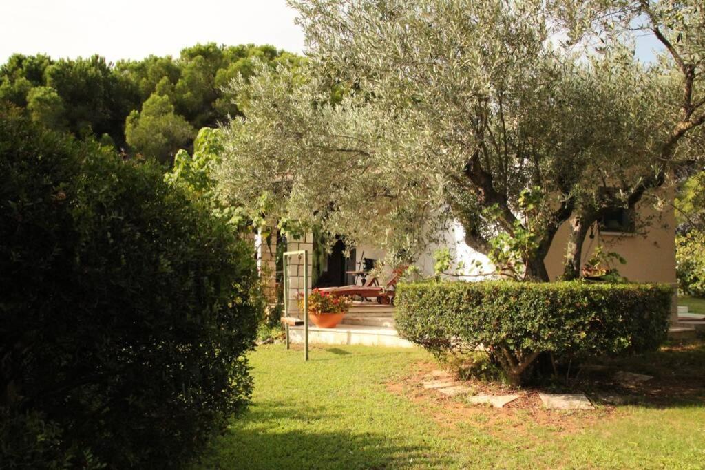 Villa Di Campagna Vicino Al Mare 오로세 외부 사진