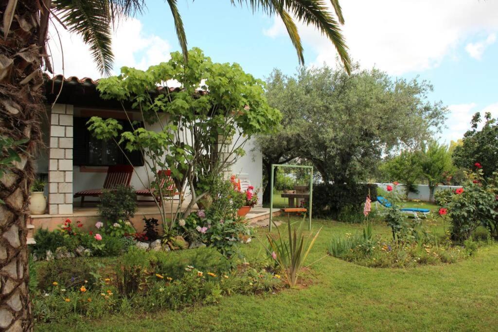 Villa Di Campagna Vicino Al Mare 오로세 외부 사진